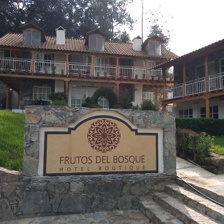 Hotel Frutos Del Bosque Zacatlan Exterior photo