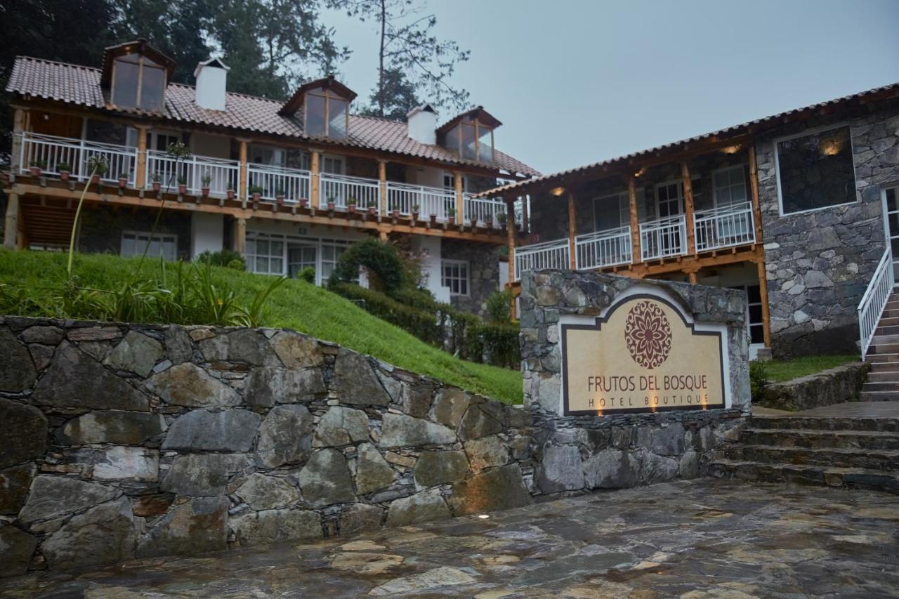 Hotel Frutos Del Bosque Zacatlan Exterior photo